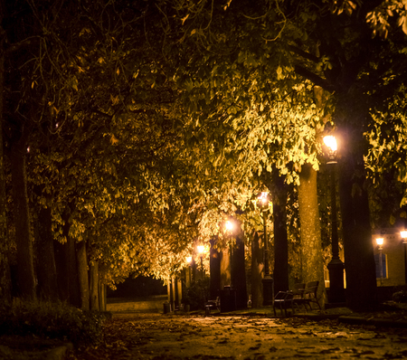 park at night sienaの写真素材