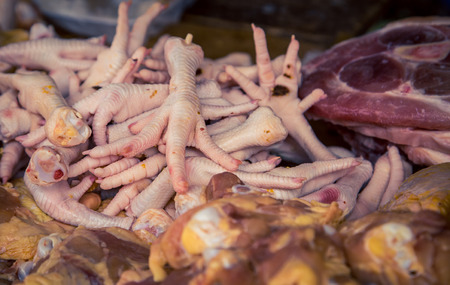 fresh chicken feetの写真素材