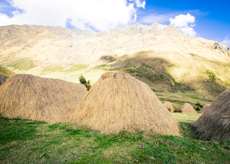 grass thatched hut