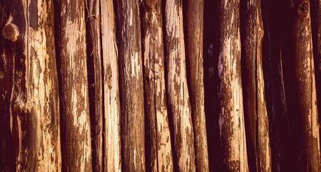 Wooden fence posts