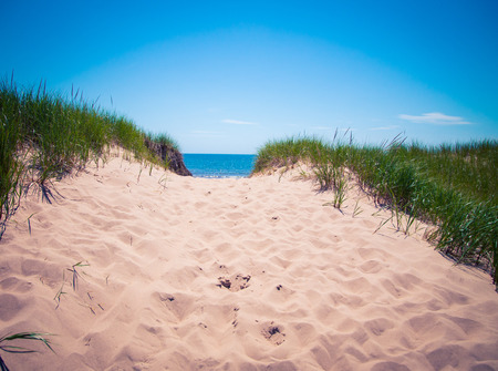path in sand dunes