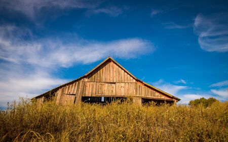 Abandon wooden barn in palouseの写真素材
