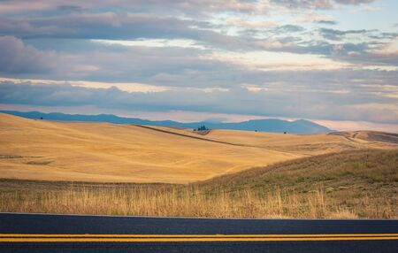 Rolling hills in the Palouse area