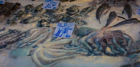 fresh octopus at a fish market Italy