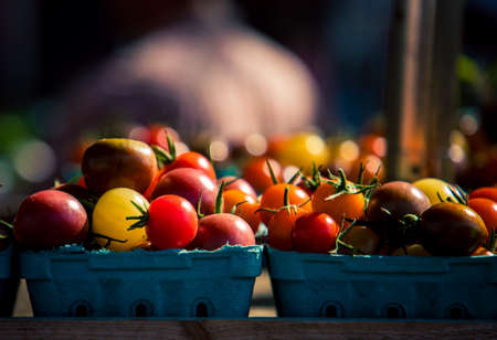 fresh tomatoes in a basketの写真素材