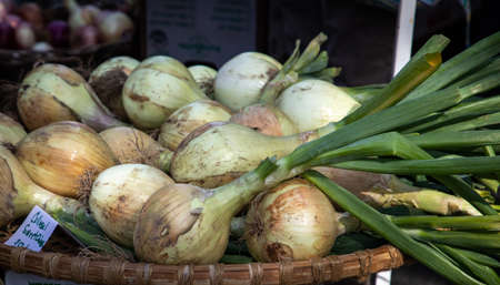fresh onions at a farmers marketの写真素材