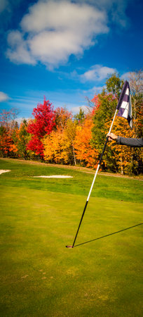 golfer putting in the golf flagの写真素材