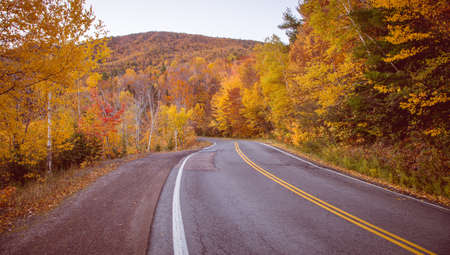 empty highway in Cape Breton