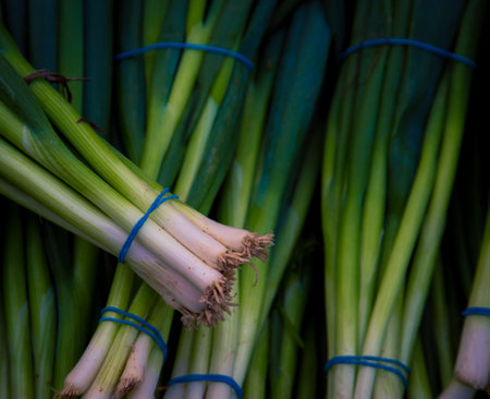 bunch of green onions at a marketの写真素材