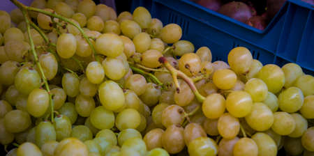 fresh grapes at a marketの写真素材