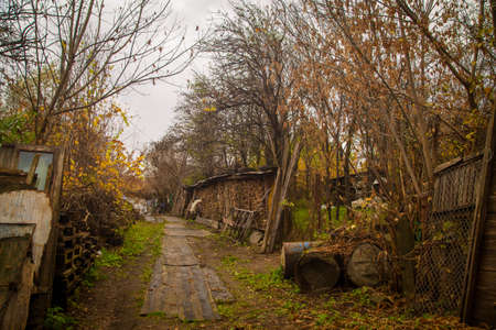 path in a wooden area of  Baia Mare Romaniaの写真素材
