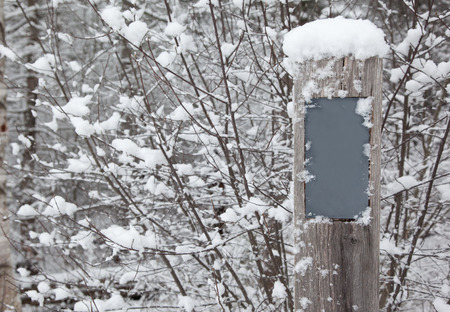 a blank wooden sign surrounded by a soft winter snowfall in the parkの写真素材