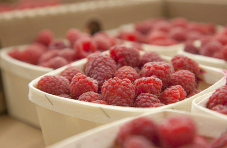 boxes of red fresh raspberries at a market standの写真素材