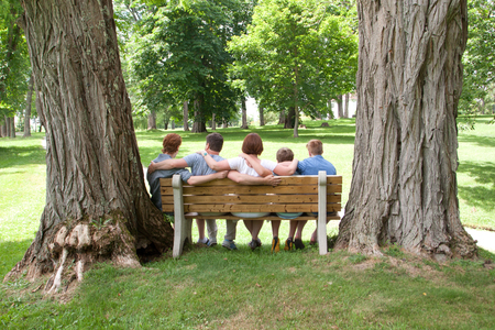 A lovely family of gingers sits together on a park bench viewed from the backの写真素材