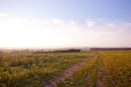 A dirt path or road leads through a beautiful meadow at sunset, on a picture perfect eveningの写真素材