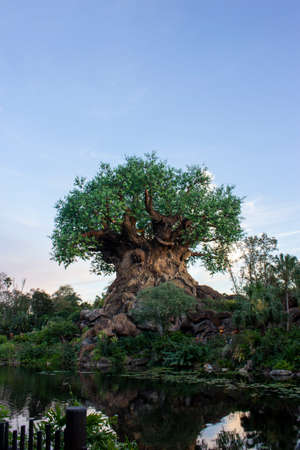 February 23, 2020- Animal Kingdom, Orlando, Florida: The famous landmark tree of life with 300 animal carvingsのeditorial素材