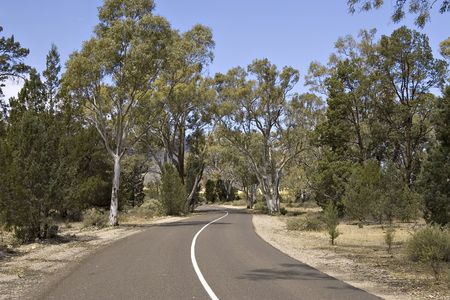 bitumen road through australian countrysideの写真素材