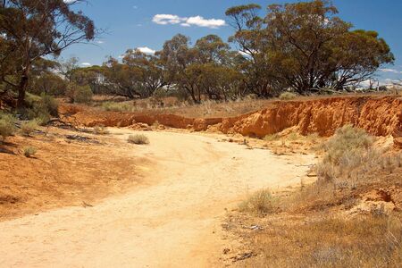 dry river bed at banrock station south australiaの写真素材
