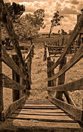 looking down the old sheep loading race or run to the paddocks beyond in sepiaの写真素材