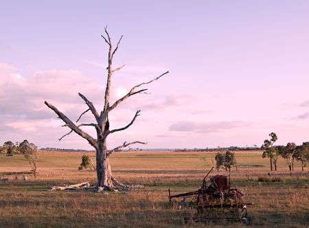 an old piece of machinery and dead tree sit in the paddock as the sky turns a gentle pink at the end of the dayの写真素材
