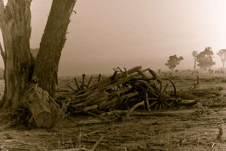 the remains of an old broken cart lay rotting on a cold and foggy morning (in sepia / duotone)の写真素材