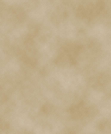 a nice large sheet of textured parchment の写真素材