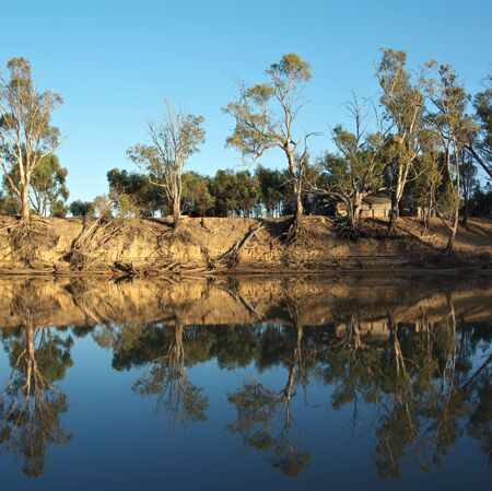 an old wooden house amongst the trees on the river murrayの写真素材