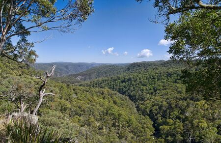 great image looking out over the forests