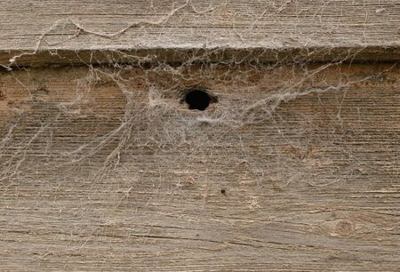 old wood background imageの写真素材