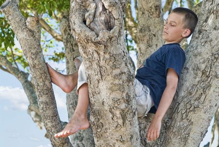 great image of a boy in a treeの写真素材