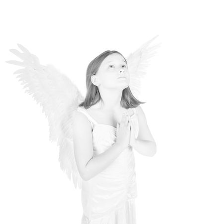 high key little angel fairy girl prayingの写真素材