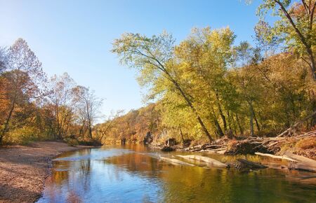 autumn leaves and trees on riverの写真素材