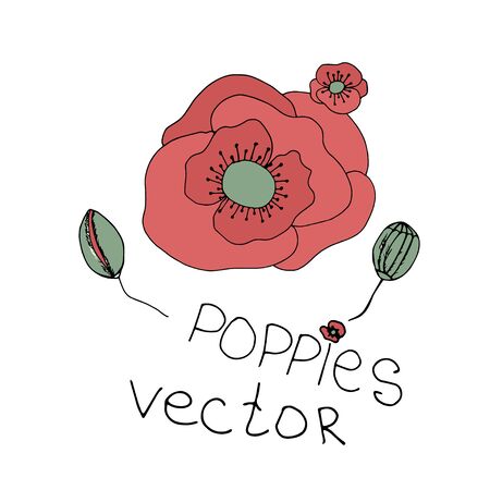 Hand drawn flowers background. Poppies frame.vintage red floral pattern backgroundのイラスト素材
