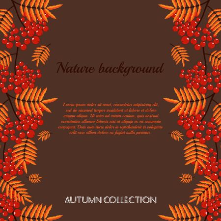 Autumn  pattern with rowan berries. Nature background. Vector illustration.のイラスト素材