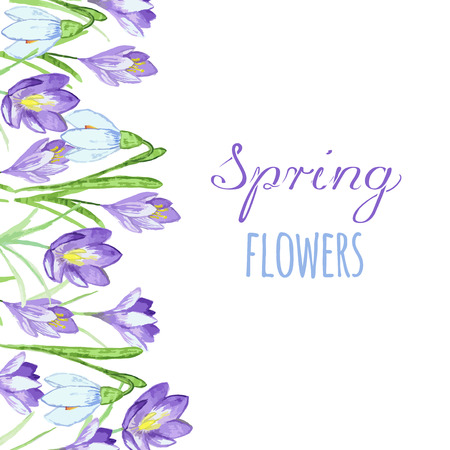 Early spring purple crocus and snowdrops nature beauty flowers vector. Crocus snowdrops flower color and purple crocus bouquet petal natural bloom. Pring purple crocus and snowdrops.のイラスト素材