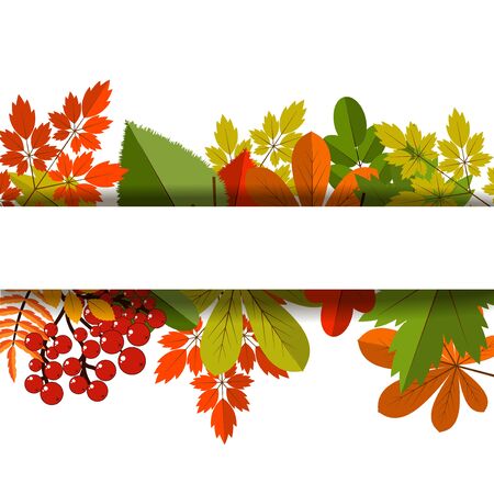 White blank on autumn background with maple leaves vector. Nature season color orange autumn background maple leaves. Beautiful texture colorful forest autumn background vibrant environment concept.のイラスト素材