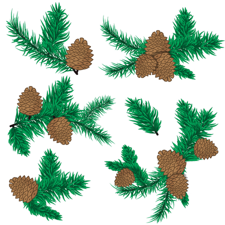 Pine cone christmas decoration. Nature pine cone decoration spruce xmas green forest elements. Evergreen holiday pine cone branch set. Forest plant evergreen pine branches.のイラスト素材
