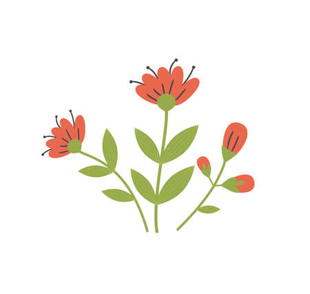 Spring flower background with butterflies. Nature easter plantsのイラスト素材