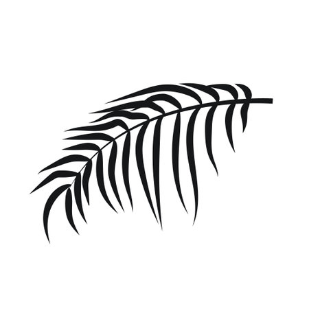 Palm leaves silhouettes isolated on white background. Vector summer tropical leaf. Exotic jungle palm leaves. Black leaf shadow overlay. Botanical flora decorative silhouette.のイラスト素材