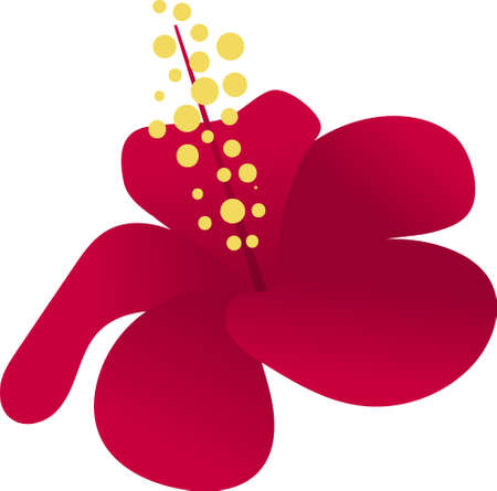 Tropical flowers frangipani (plumeria) isolated on white backgroundのイラスト素材