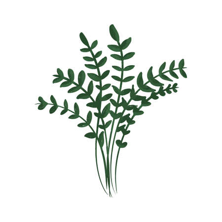Hand drawn micro greens illustration of plant development from grain to sproutのイラスト素材