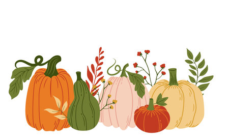 Colorful Pumpkins and Autumn Leaves. Thanksgiving Harvest Fall Pumpkin Holiday Foodのイラスト素材