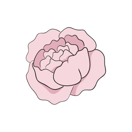 Pink Peony Flower Bud Botanical Blossom Vector Illustrationのイラスト素材