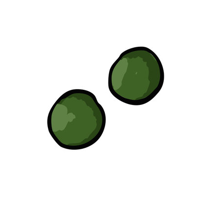 Green Peas in Pod with Seeds in Hand-drawn Style Vector Illustrationのイラスト素材