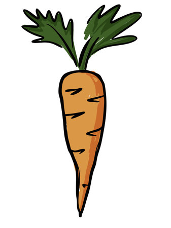 Vintage Hand-drawn Carrot with Green Tops Vector Illustrationのイラスト素材