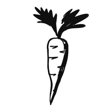 Vintage Hand-drawn Carrot with Tops Vector Illustrationのイラスト素材