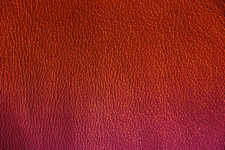 Genuine Leather. Red background. Bloody color. The texture of the skin closeup.