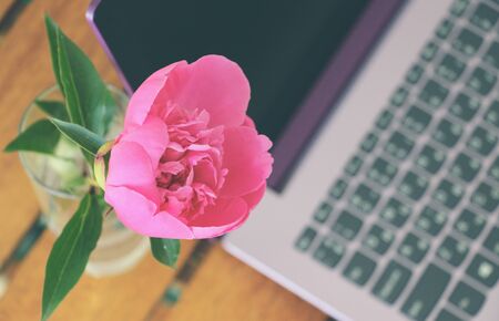 Remote work as a woman. Purple notebook, pink peony and herbal tea on a wooden table. Inspiration, energy, positive.の写真素材