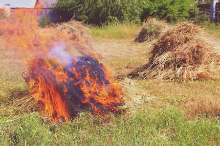 Big fire. Dense mowed grass burns in a field in a village in summer. Harvesting weeds in the garden.の写真素材