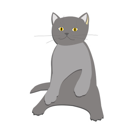Cute little gray kitten sits on its hind legs on a white background. Vector illustration.のイラスト素材